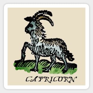 Capricorn - Medieval Astrology: Magnet